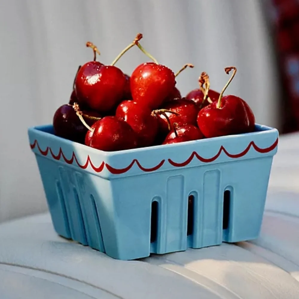 Anthropologie Set of TWO! Damson Madder Ceramic Berry Baskets - RED